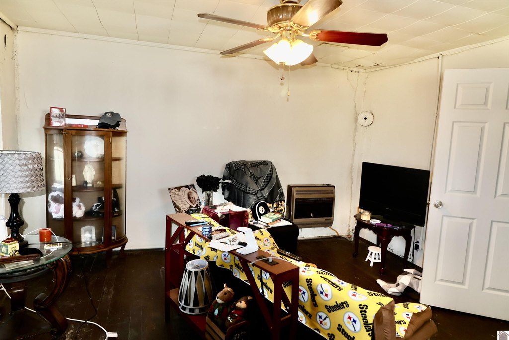 Picture 15