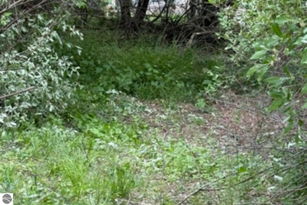 Picture 18
