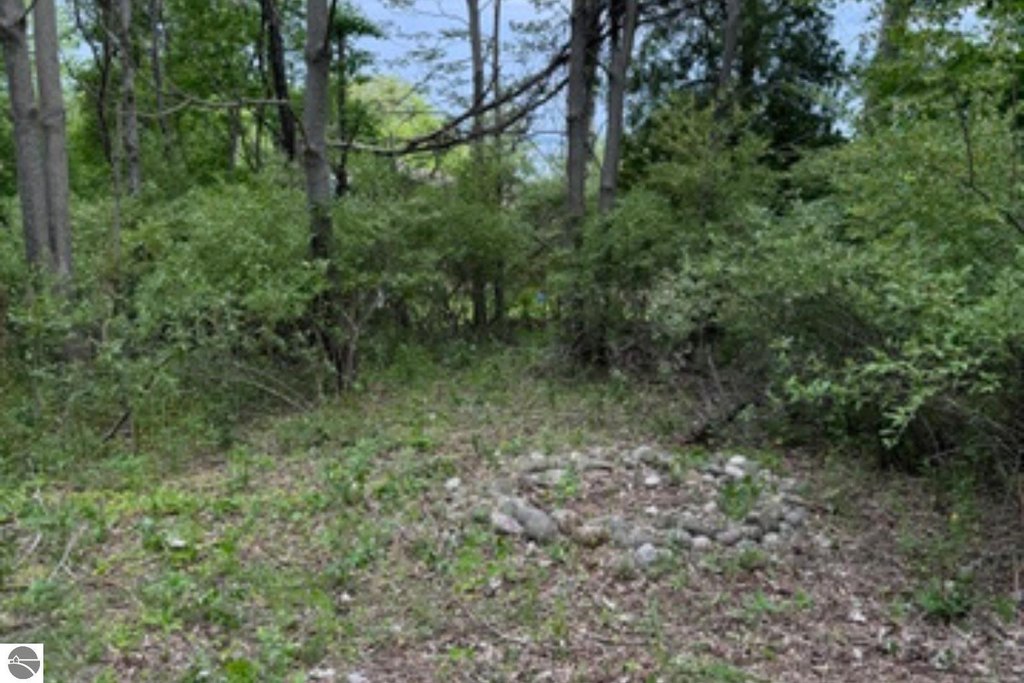 Picture 20