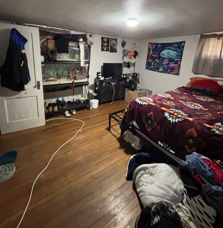Picture 13
