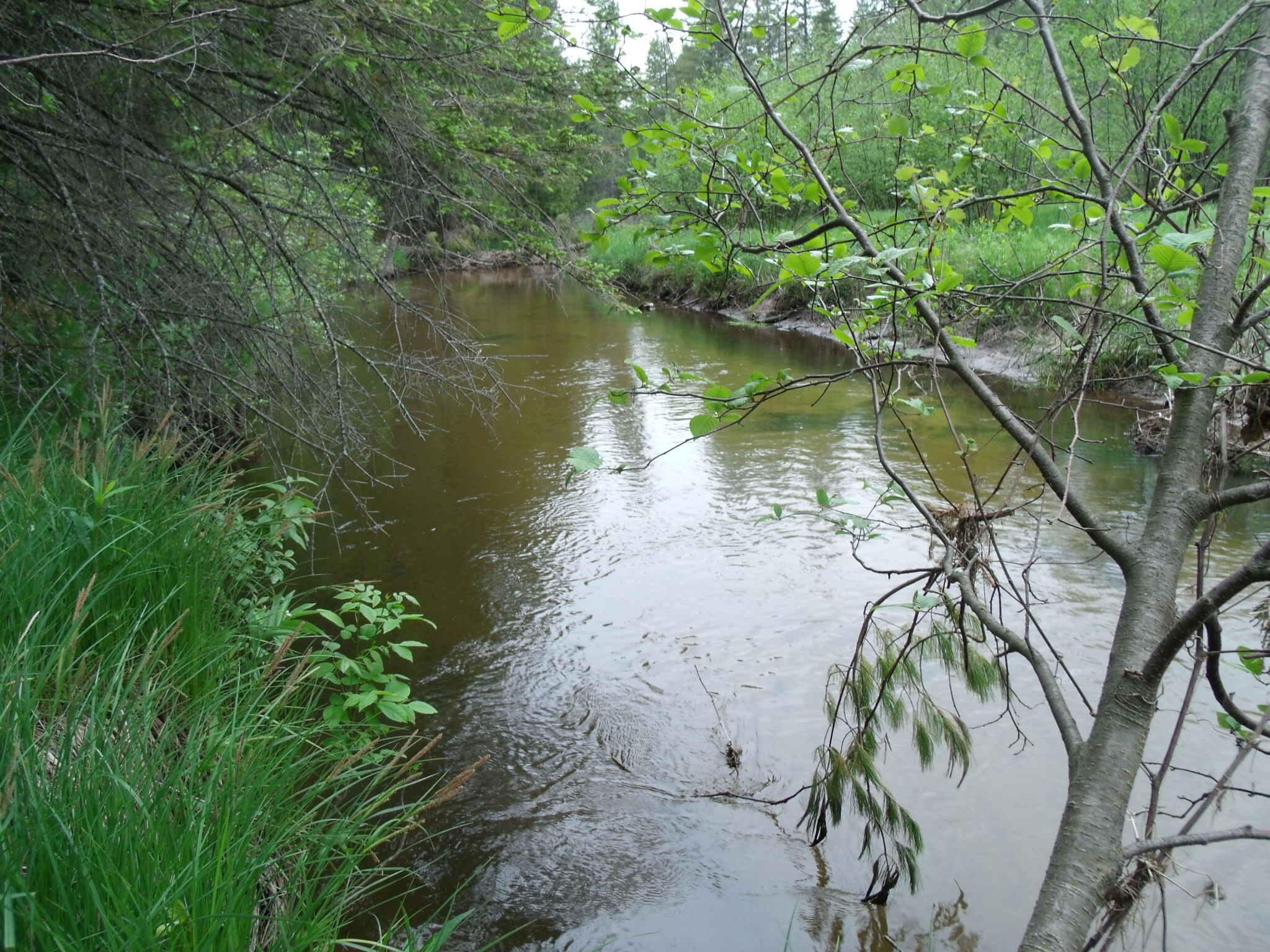 Pigeon River Recreational Land