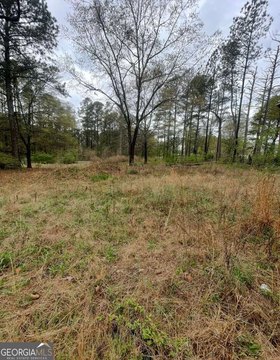 Picture of Commercial land at Stapler Rd 46, Newnan, GA