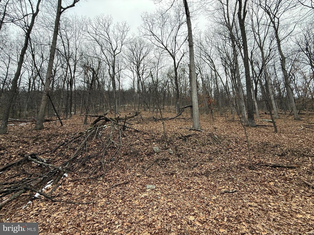 Picture 3