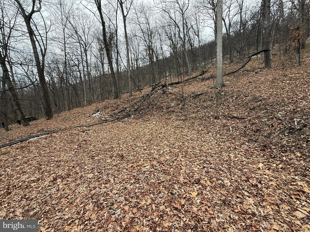 Picture 2