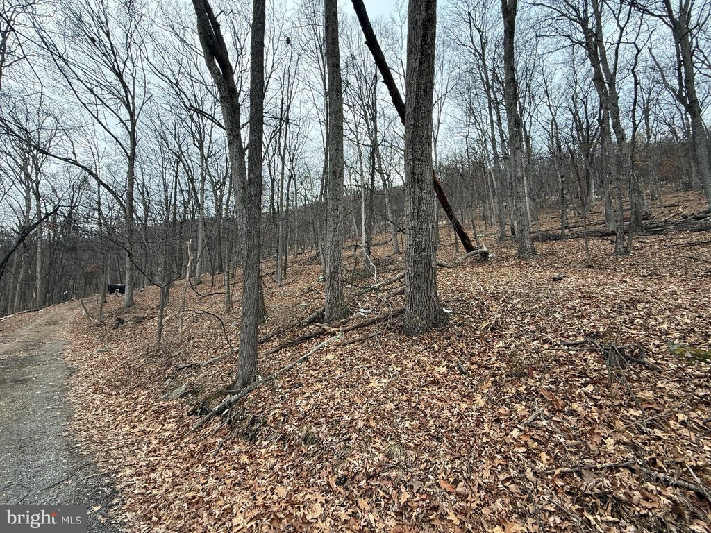 Picture 9