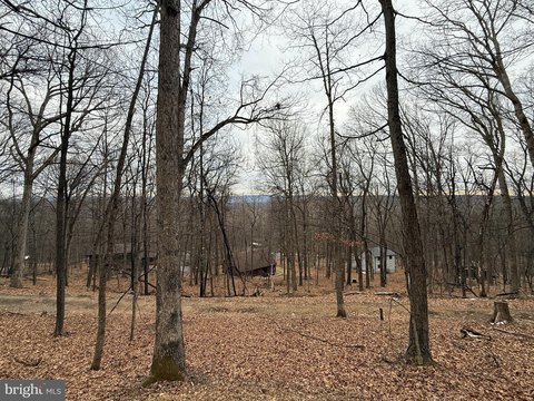 LAND - BERKELEY SPRINGS, WV