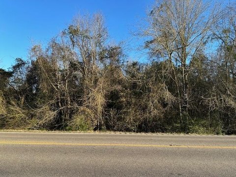Residential Land in Dothan, AL