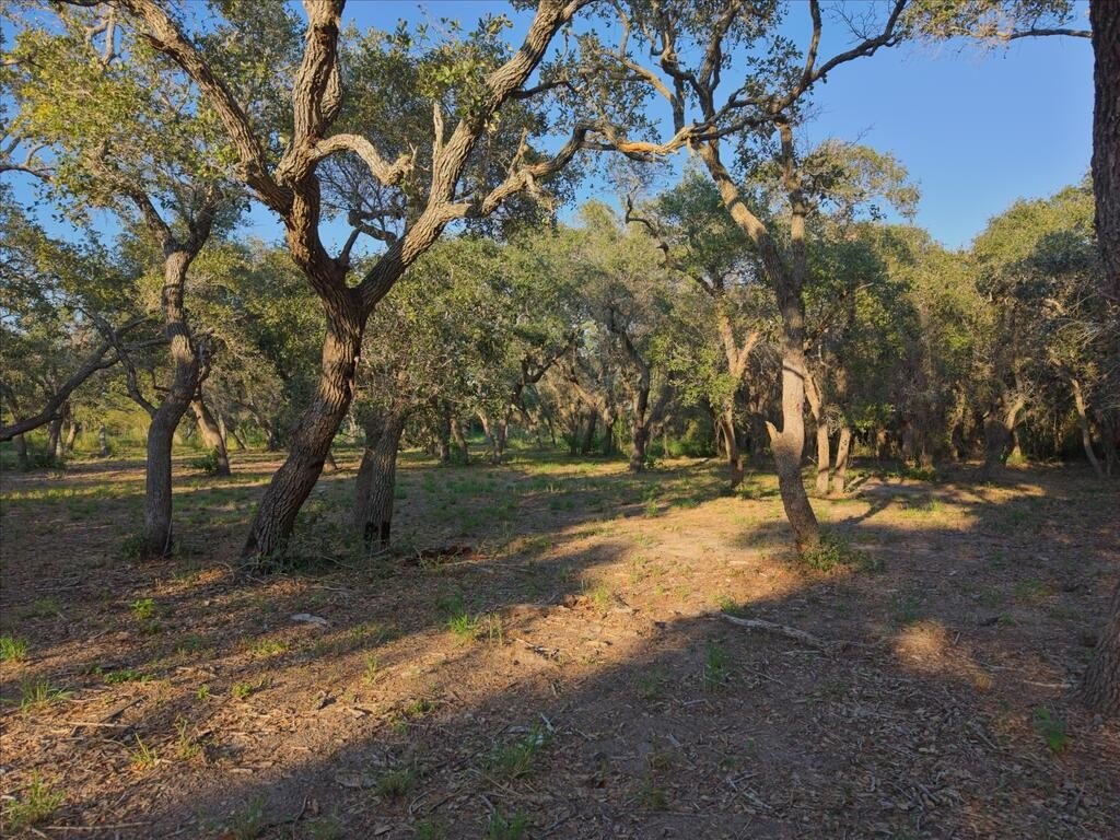 Picture 17