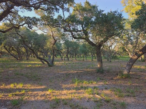 Land, ROCKPORT, TX