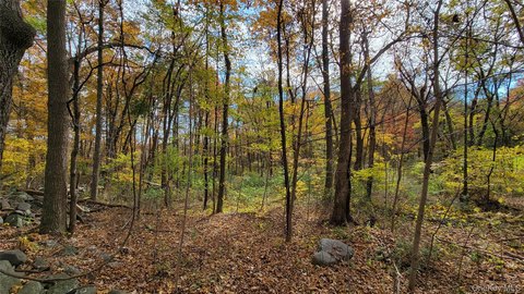 Private Wooded Lot with Lake Access