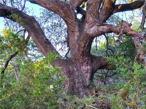 Burnet County Land For Sale