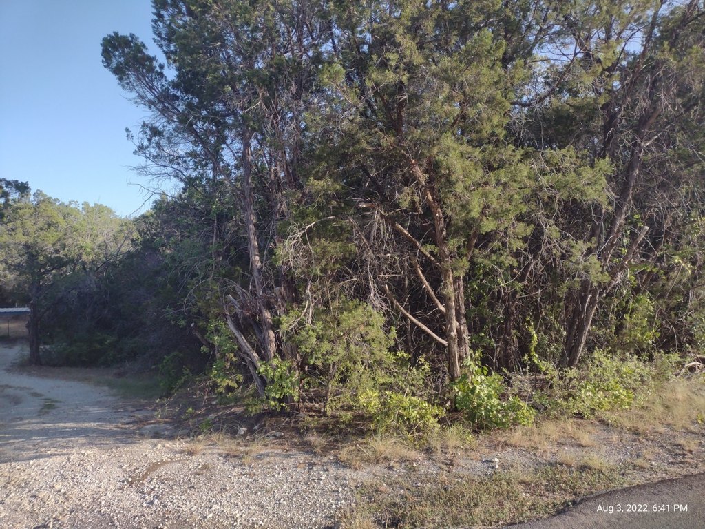 Picture 6
