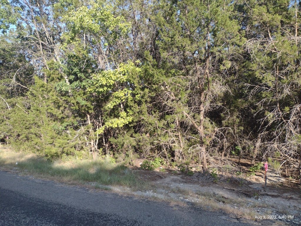 Picture 3