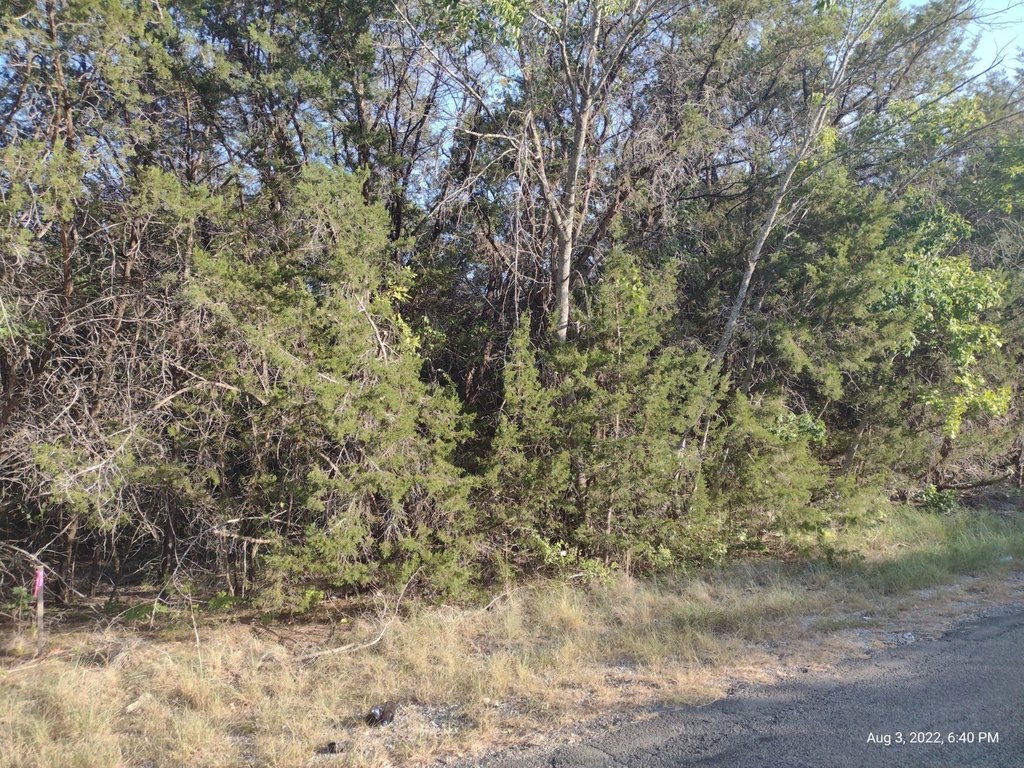 Picture 4