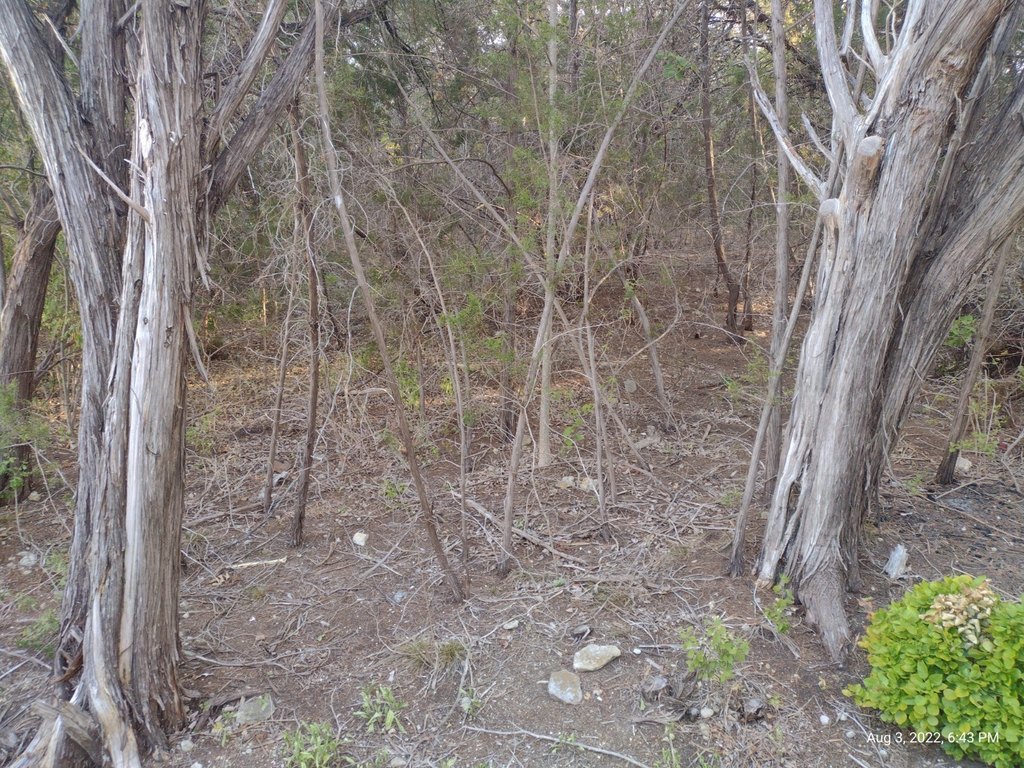 Picture 8