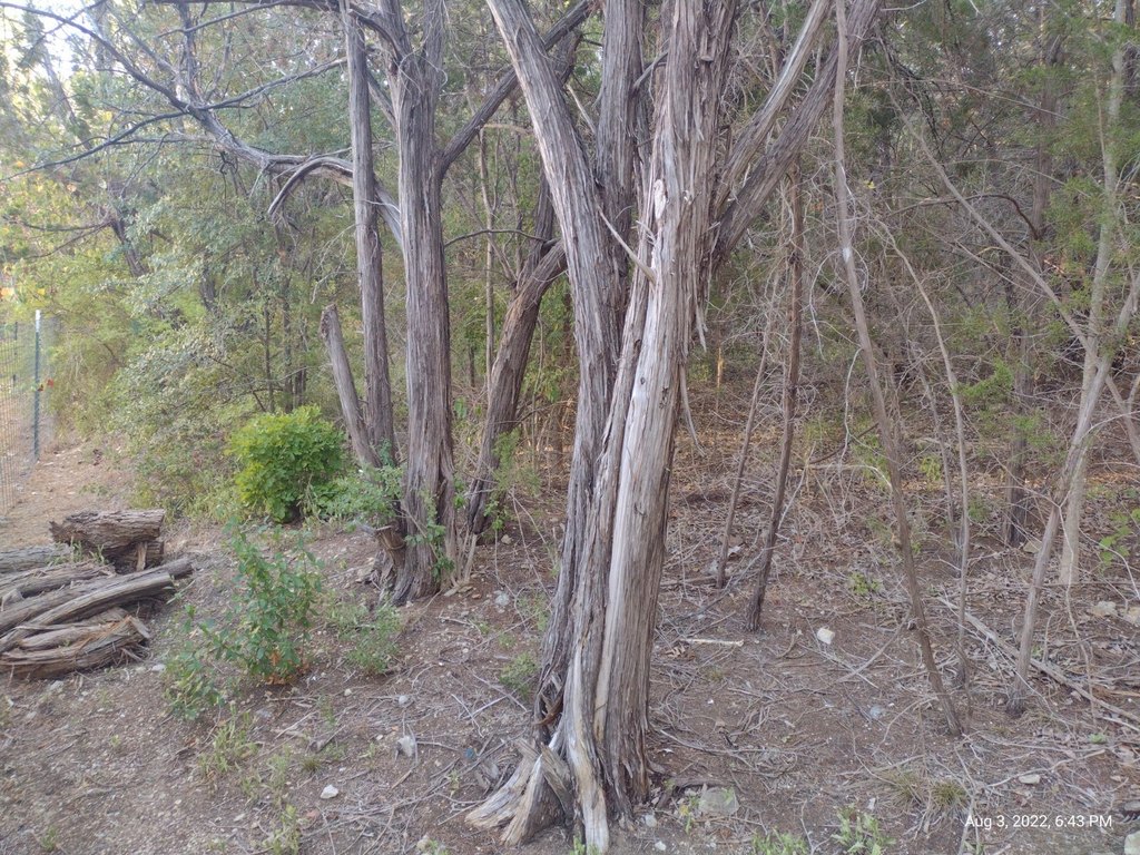 Picture 7