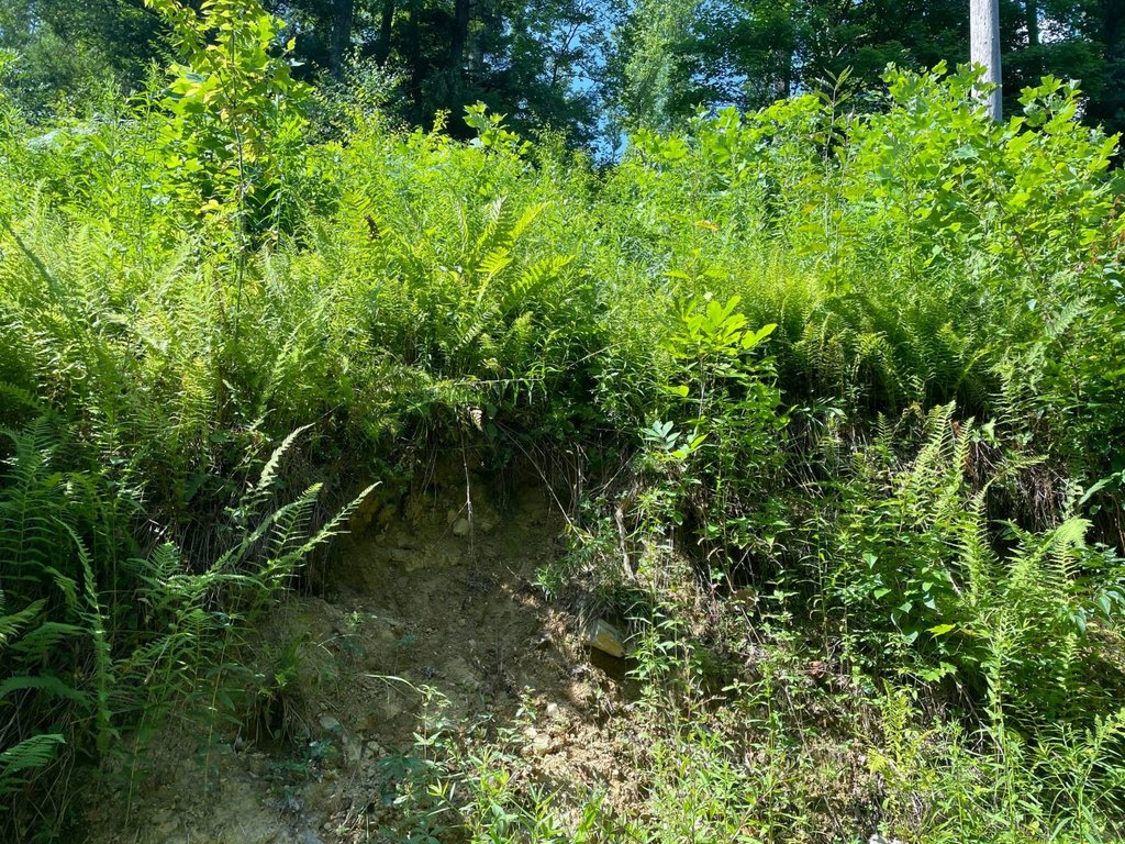 Picture 17