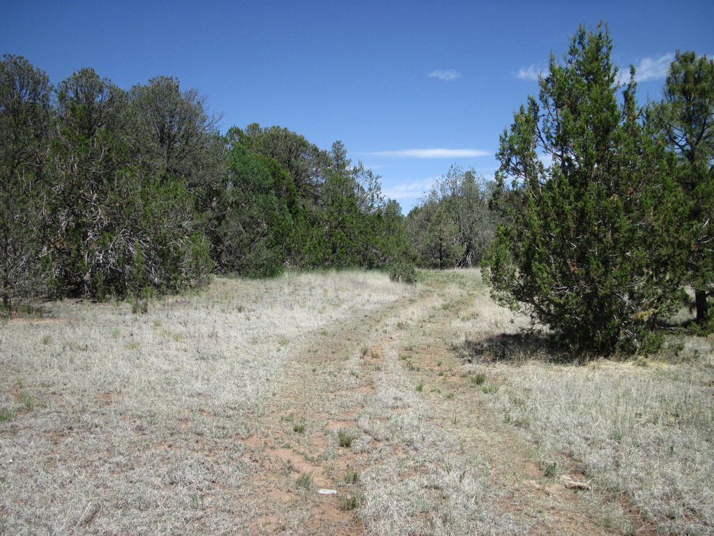 Picture 6
