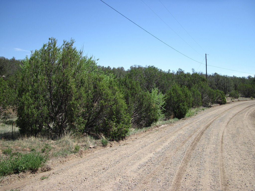 Picture 3