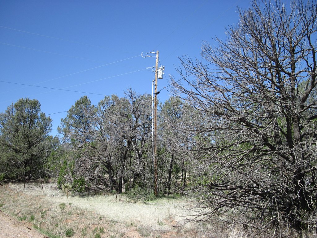 Picture 9