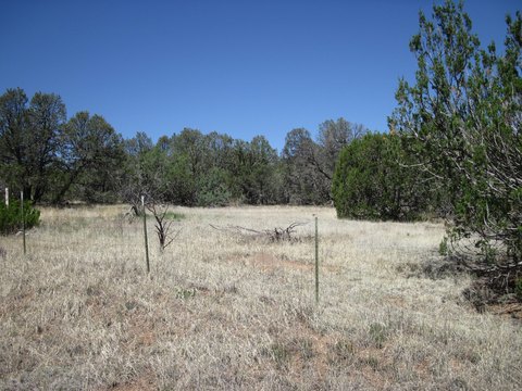 Land, Edgewood, NM
