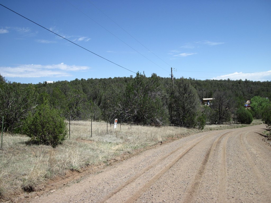 Picture 14