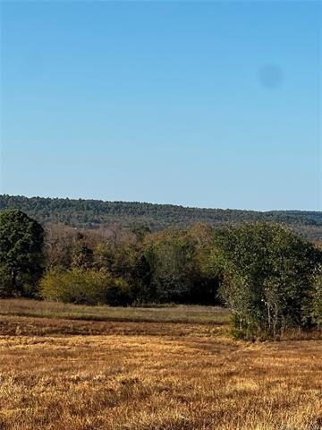 Picture 41