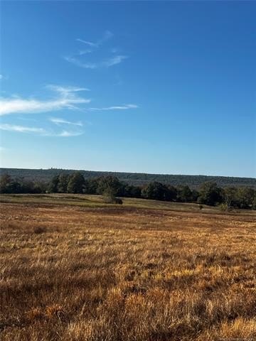 Picture 38