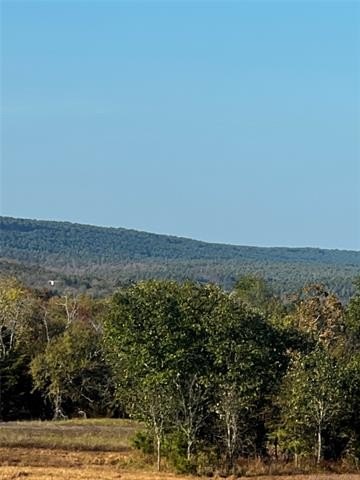 Picture 32