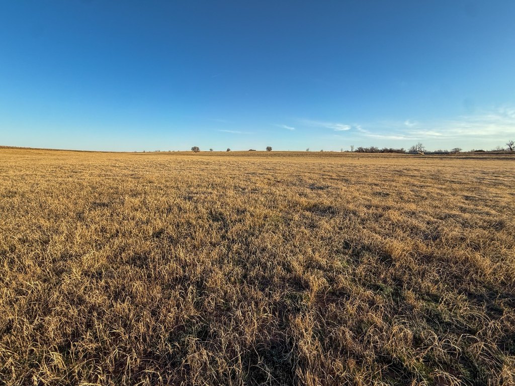 Picture 49