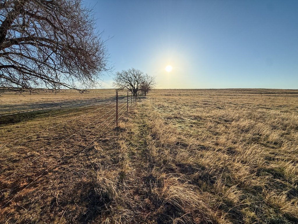 Picture 56
