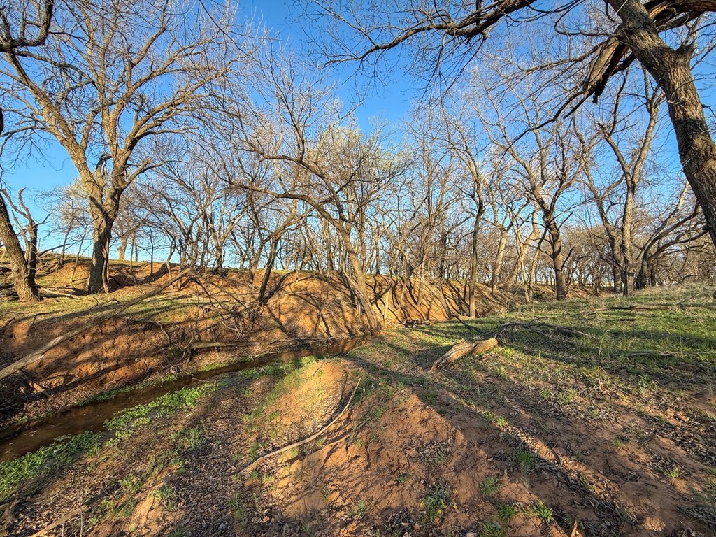 Picture 68