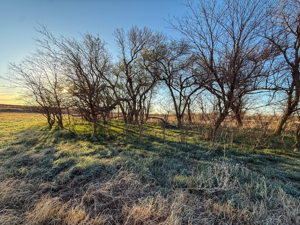 Picture 48
