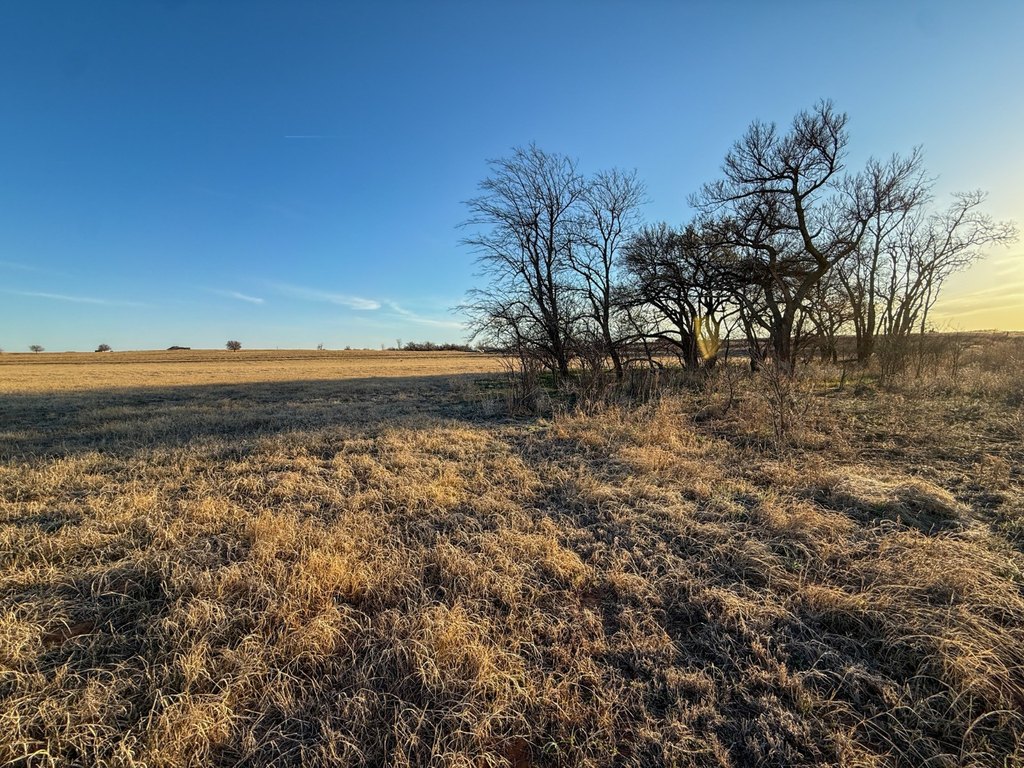 Picture 47