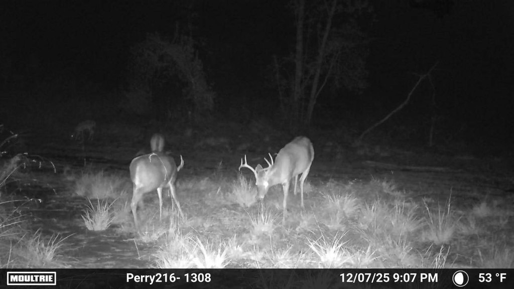 Picture 4