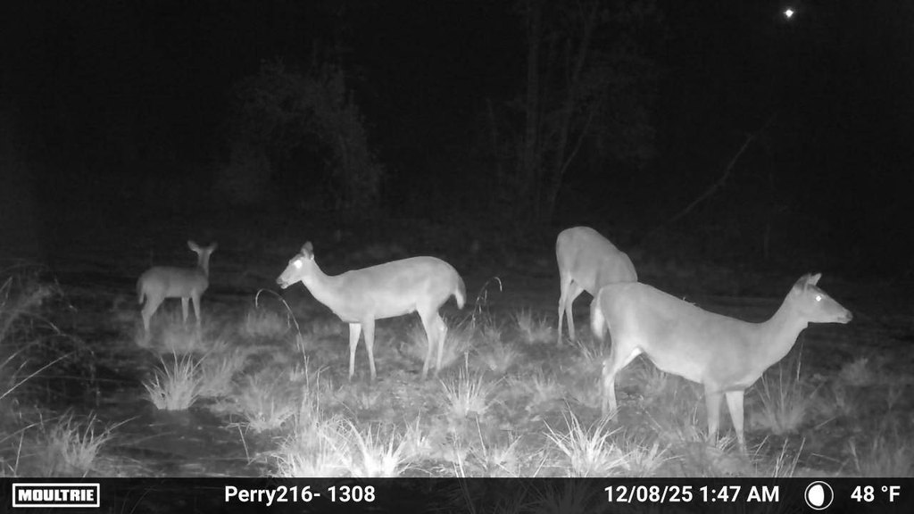 Picture 3