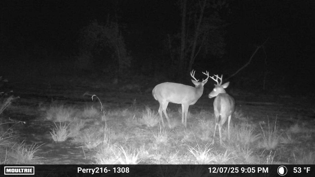 Picture 17