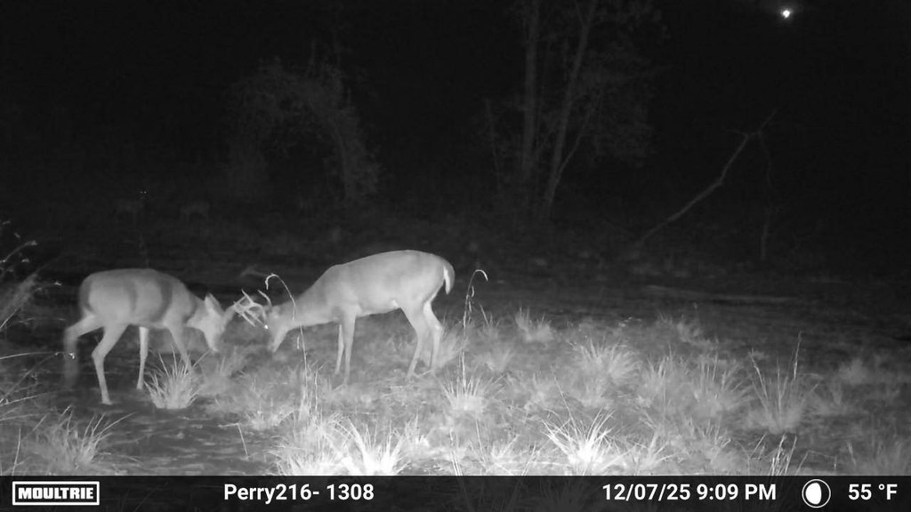 Picture 16