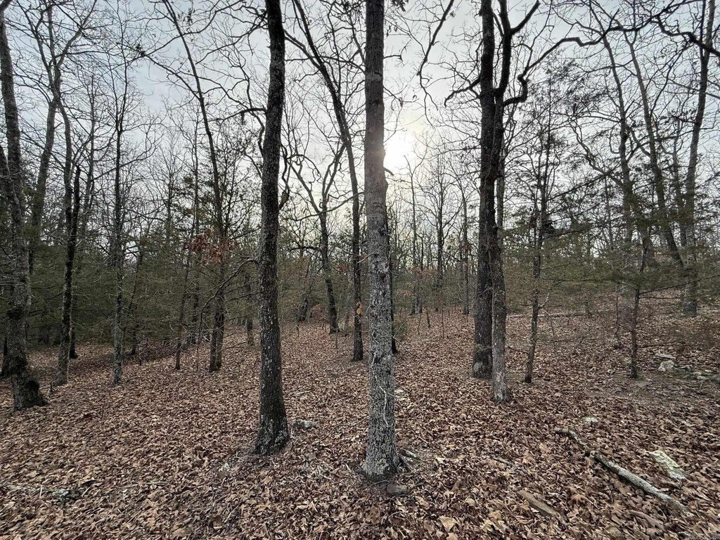 Picture 17