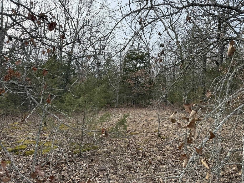 Picture 2