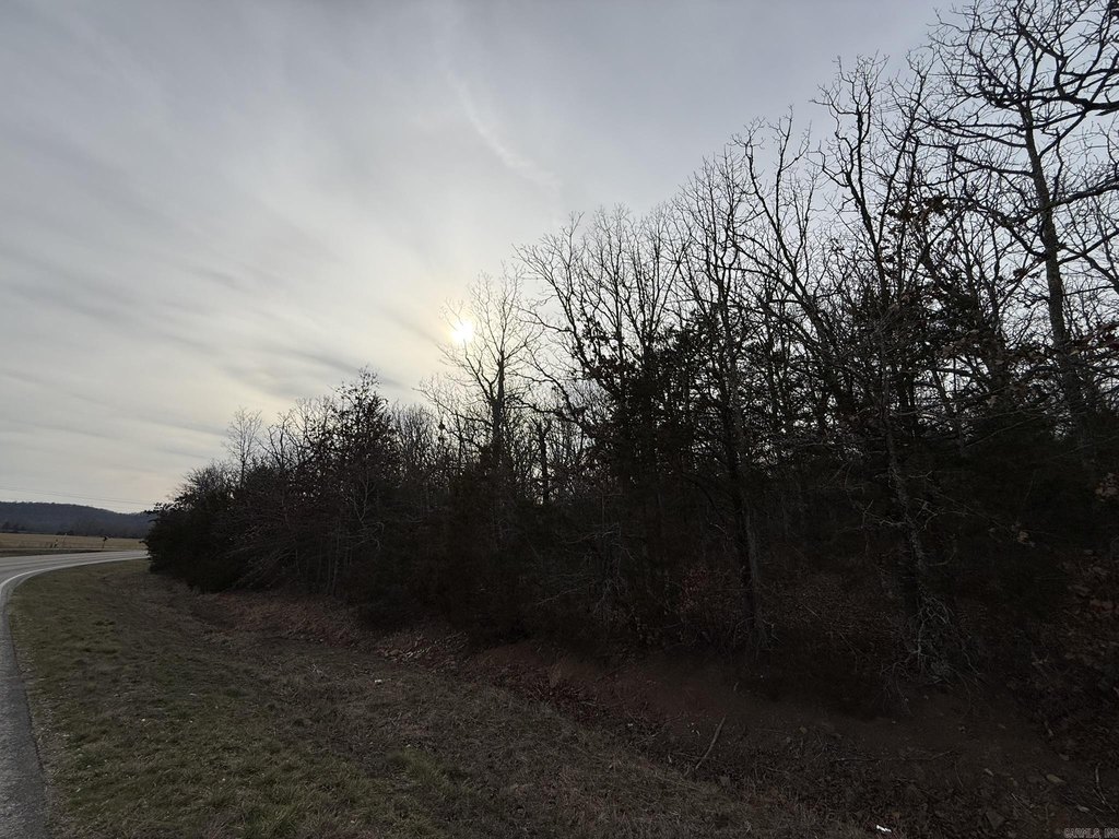 Picture 24