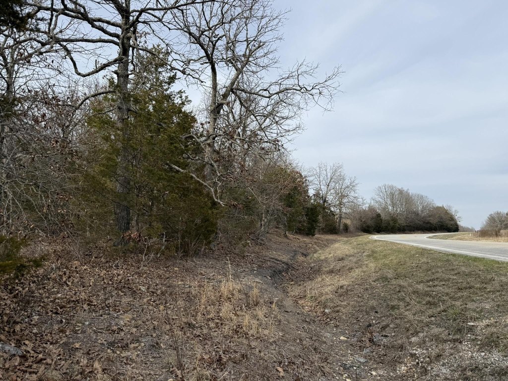 Picture 27