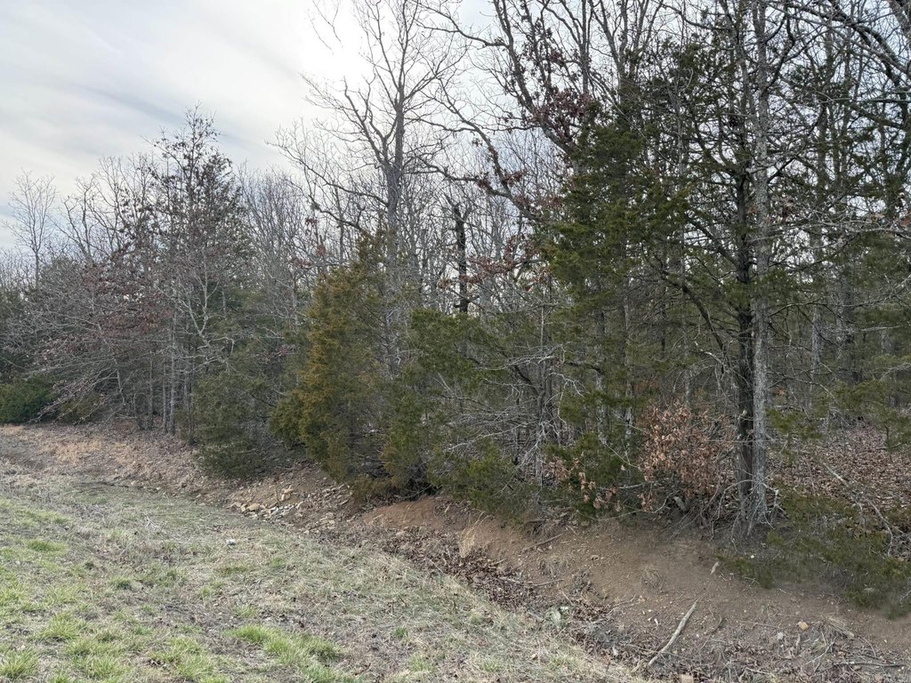Picture 25