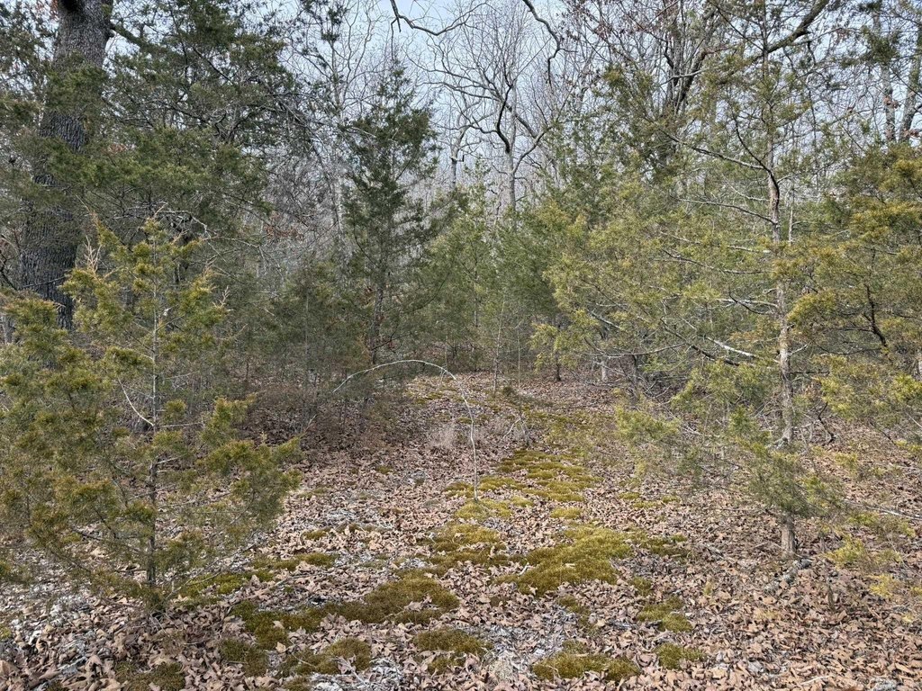 Picture 5