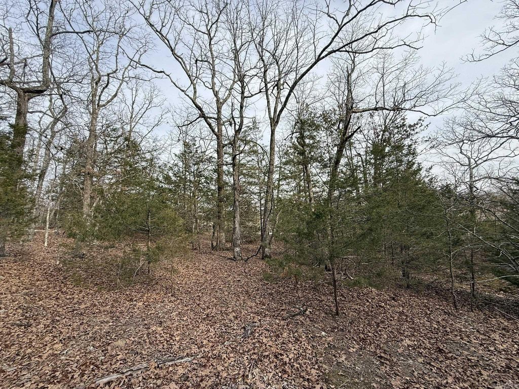Picture 22