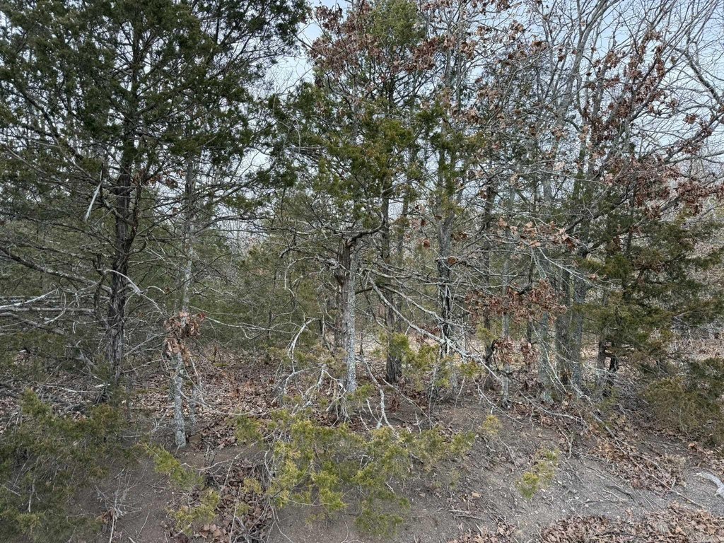 Picture 26