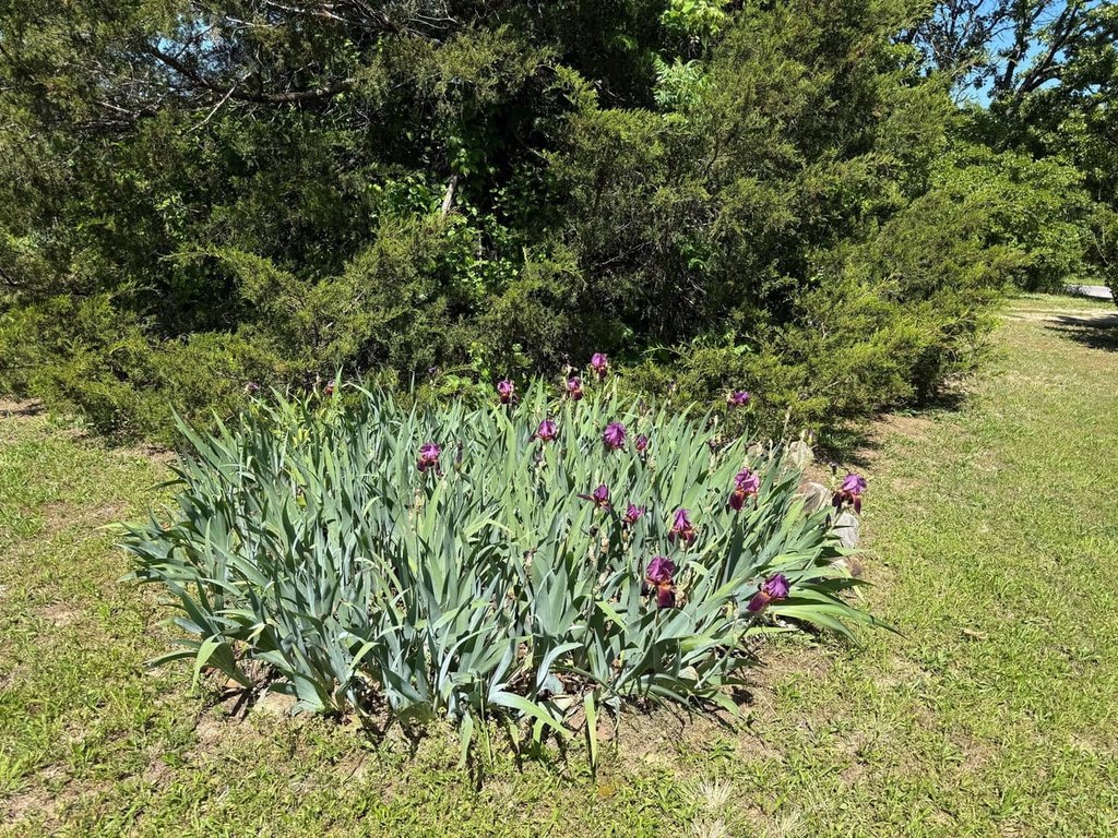 Picture 21