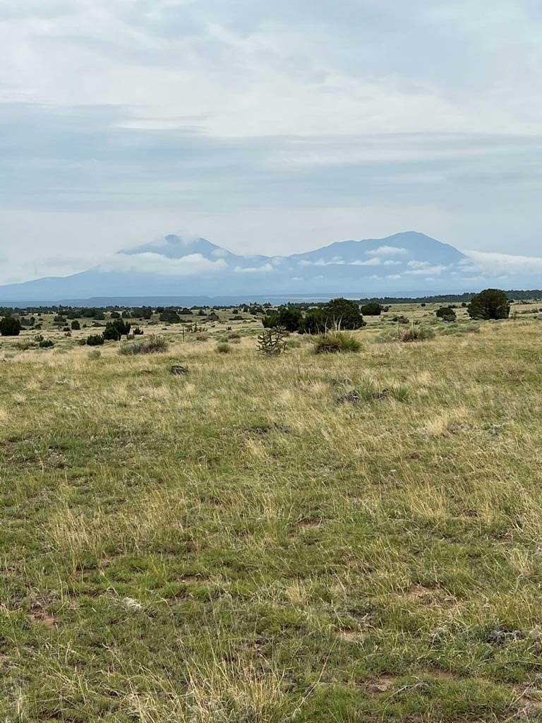 Land with Hilltop Mountain Views