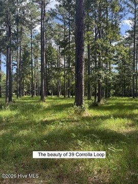 Land, Oriental, NC