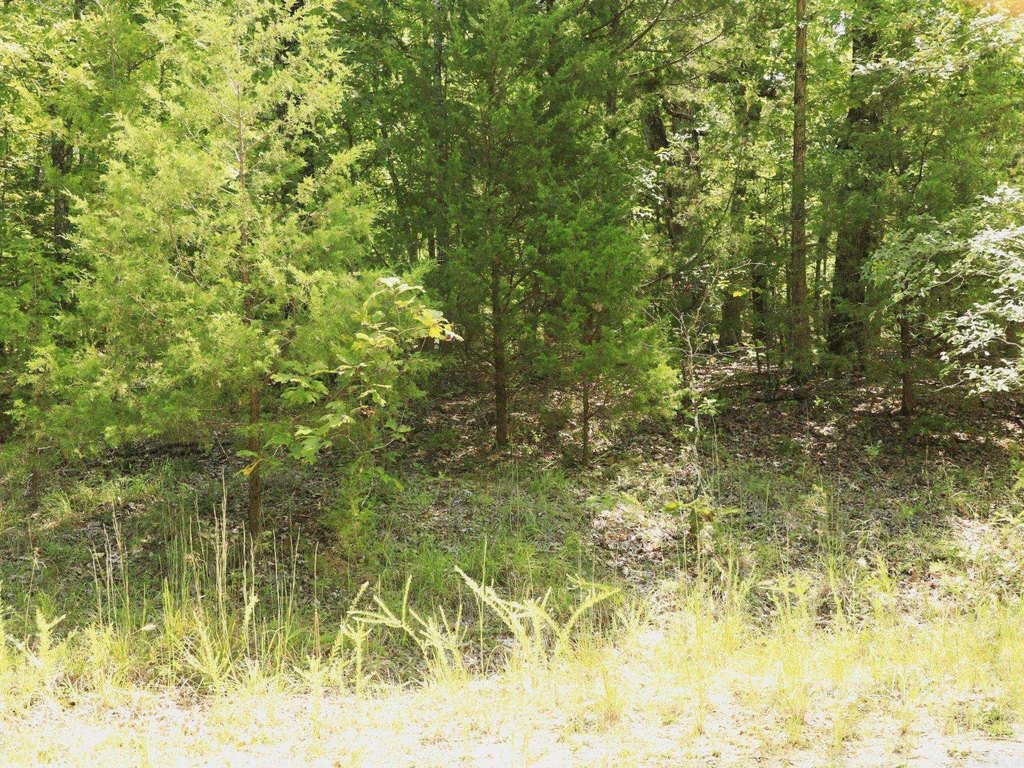 Picture 4
